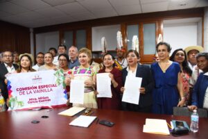 NOV11ABRIL2025COMISIONVAINILLA1