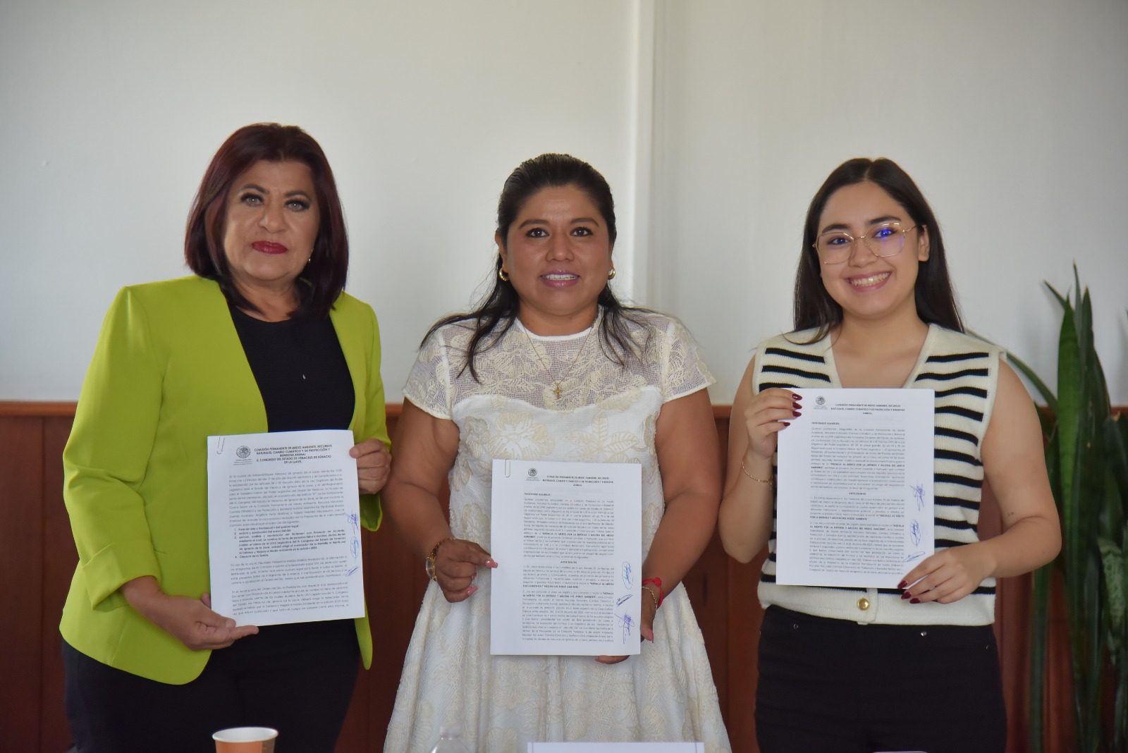 NOV17JULIO2025MAMB.1