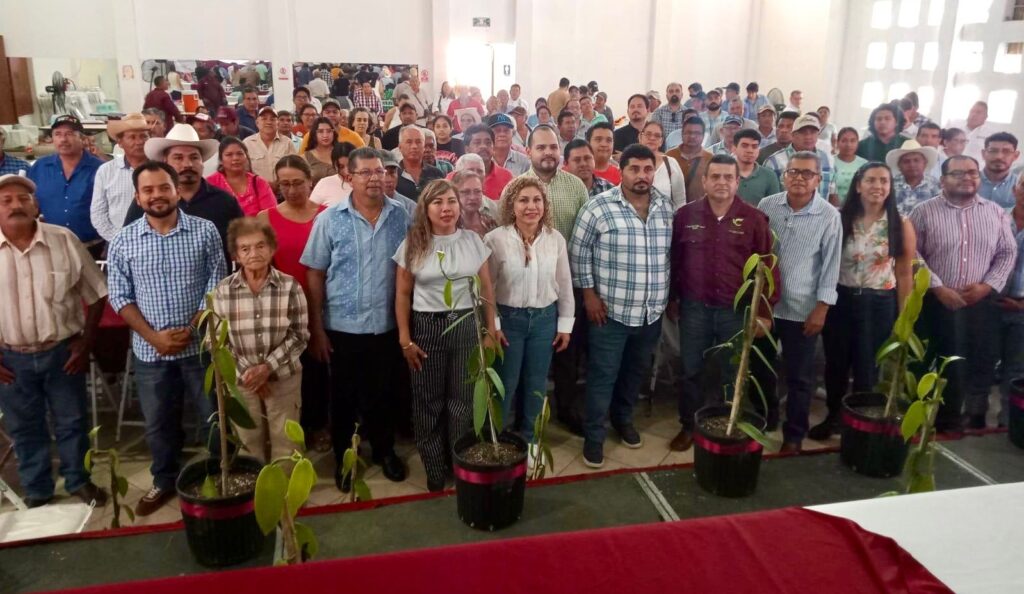 NOV20FEB2026FOROVAINILLA1